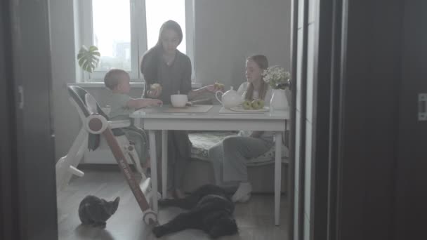 Una Dolce Famiglia Madre Due Figlie Bevono Mattino Loro Cane — Video Stock