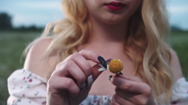Egy Fiatal Szőke Letépi Egy Virág Szirmait Mezőn Állva Középső — Stock videók