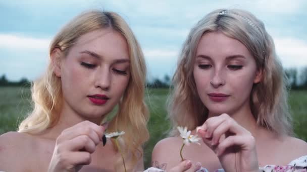 2人の若いブロンドの女性が緑の畑に立ってデイジーの花びらを引き裂きます ミッドショット — ストック動画
