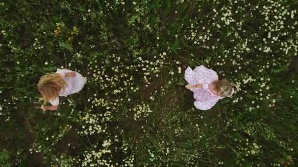 Δύο Νεαρές Γυναίκες Ελαφρά Καλοκαιρινά Φορέματα Χορεύουν Στο Χωράφι Αεροφωτογραφία — Αρχείο Βίντεο
