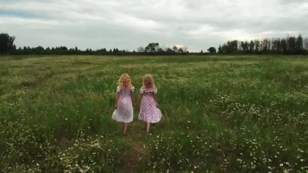 Дві Молоді Блондинки Легких Літніх Сукнях Тримаються Руки Ходять Полі — стокове відео