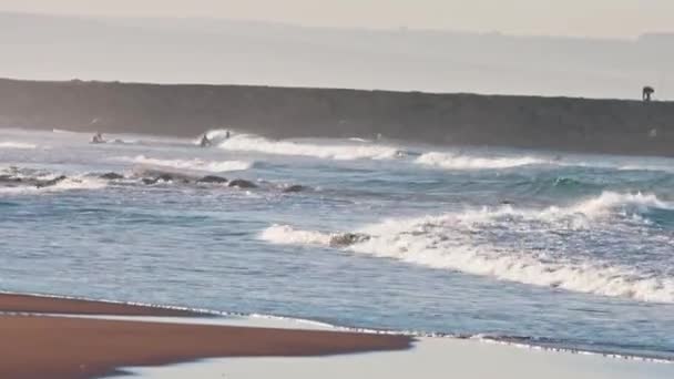 대양의 위에서 수영하는 사람들 파도타기하는 사람들 포르투갈의 코스타 파리카 — 비디오
