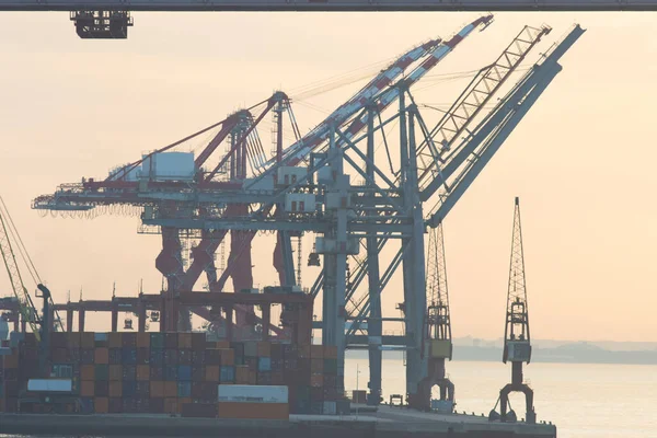 Zeevrachtkranen Haventerminal Van Lissabon Silhouet Bij Zonsopgang Ochtend — Stockfoto