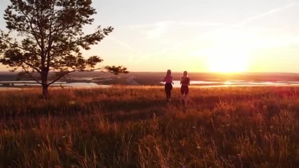 两名年轻的女运动员日落时在田里慢跑 空中景观 — 图库视频影像