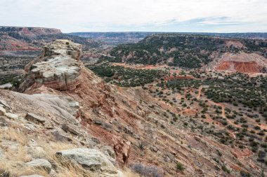 Teksas 'taki Palo Duro Kanyonu' nda manzara. 