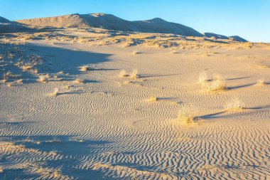 Kaliforniya 'daki Mojave Çölü' nde kum tepeleri.