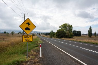 Kanguru ve Wombat Geçidi. Avustralya 'da bir yol boyunca 10 km tabelası