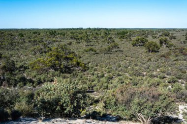 Victoria, Avustralya 'daki Little Desert Ulusal Parkı' nda manzara.
