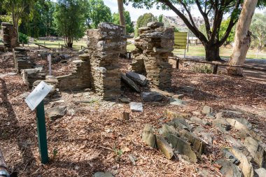 Kızıl Kayalıklar, Victoria, Avustralya - 13 Mart 2017. Dünyanın en büyük traktörlerinden biri, Büyük Lizzie, Kızıl Kayalıklar 'da, VIP. Koca Lizzie aslında Broken Hill 'in bitişiğindeki istasyondan yün taşımak için yapılmıştı..