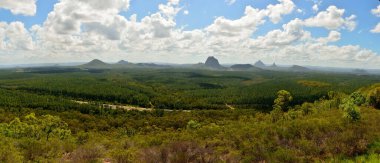 Glass House Dağları (Tibberoowuccum, Tibrogargan, Cooee, Beerwah, Coonowrin ve Ngungun dahil) Queensland, Avustralya 'daki çam ormanlarının panoramik manzarası.