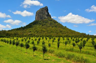 View of Mountain Coonowrin across a garden nursery in Glass House Mountains region in Queensland, Australia. clipart