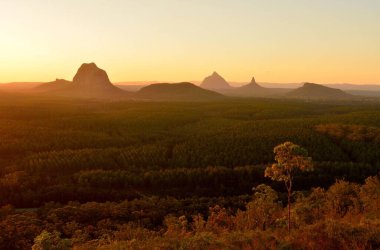 Glass House Dağları 'nın (Tibrogargan, Cooee, Beerwah, Coonowrin ve Ngungun dahil) Queensland, Avustralya' da gün batımında çam ormanlarının karşısından görünüşü.