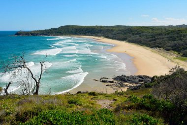 Queensland, Avustralya 'daki Noosa Ulusal Parkı' ndaki Alexandria Körfezi manzarası.