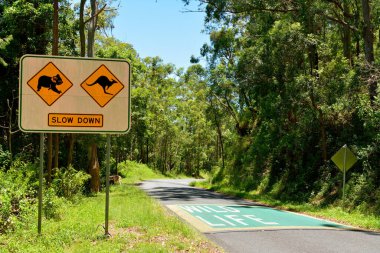 Avustralya 'da yol boyunca üzerinde koala ve kanguru resimleri olan trafik işaretlerini yavaşça sürün..