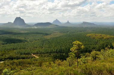 View of Mountains Tibberoowuccum, Tibrogargan, Cooee, Beerwah, Coonowrin and Ngungun across pine forest in Glass House Mountains region in Queensland, Australia. clipart