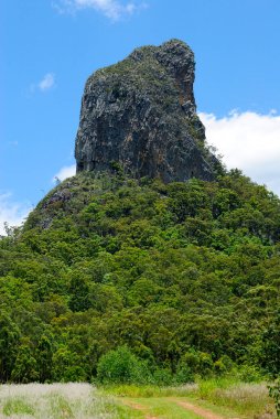 Queensland, Avustralya 'daki Glass House Dağları bölgesindeki Coonowrin Dağı manzarası.