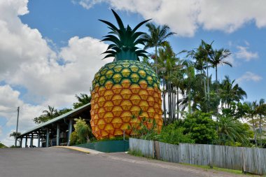 Woombye, Queensland, Avustralya - 17 Aralık 2017. Woombye 'de 16 metre yüksekliğindeki Büyük Ananas, binalar ve bitki örtüsüyle.