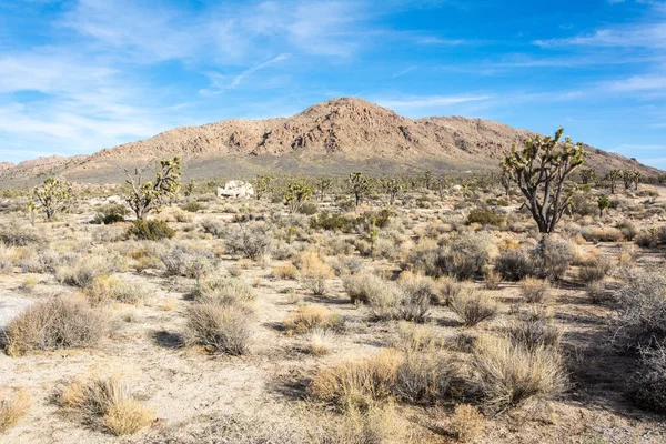 Paisagem Mojave Desert Califórnia — Fotografia de Stock