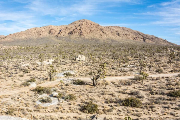 캘리포니아의 사막의 — 스톡 사진