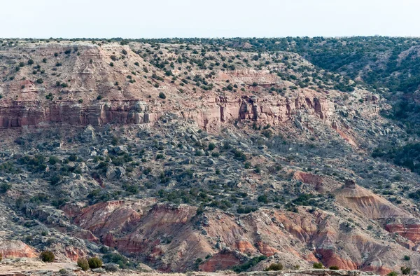 Landschap Palo Duro Canyon Texas — Stockfoto