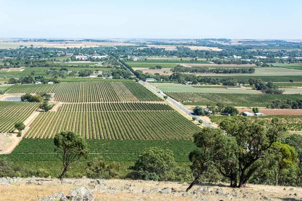 Vinařství Barossa Valley Jižní Austrálii — Stock fotografie