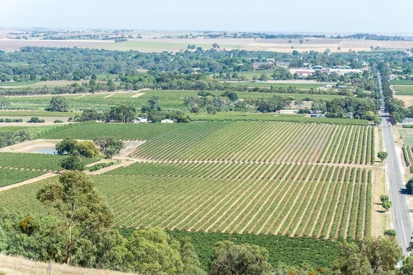 Vinařství Barossa Valley Jižní Austrálii — Stock fotografie