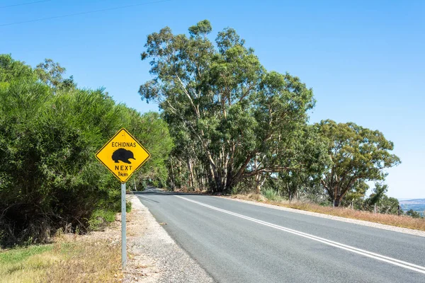 Echidnas Crossing Next 1Km Silniční Značka Austrálii — Stock fotografie