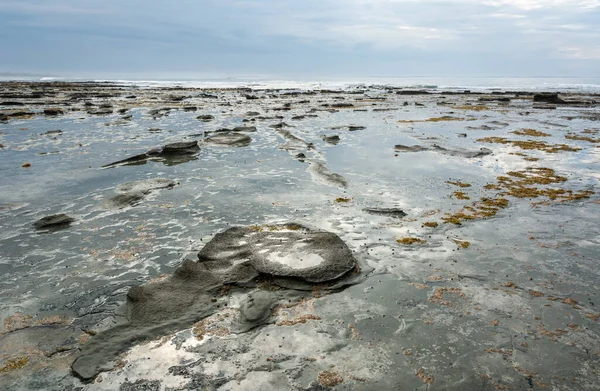 Ακτογραμμή Στην Περιοχή Flat Rocks Της Bunurong Marine Και Coastal — Φωτογραφία Αρχείου