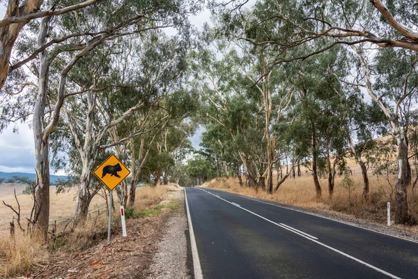 Road Victoria Australia Koala Crossing Sign — Stock fotografie