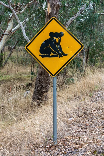 Cuidado Com Koalas Road Sign Australia — Fotografia de Stock