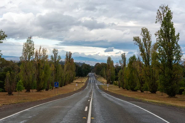 Autostraße Mansfield Viktorianisches Hochland Australien — Stockfoto
