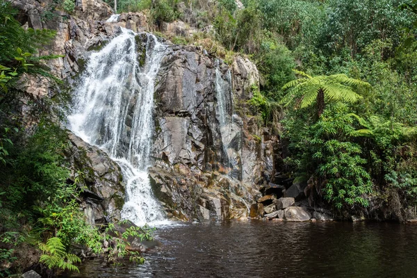 Водопад Стивенсон Каскадом Проникает Долину Реки Стивенсон Близ Мэрисвилля Виктории — стоковое фото
