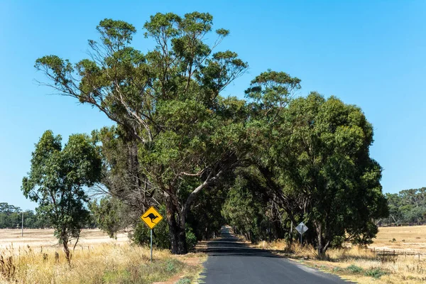 Motorová Silnice Victoria Austrálie Klokaním Křížem — Stock fotografie