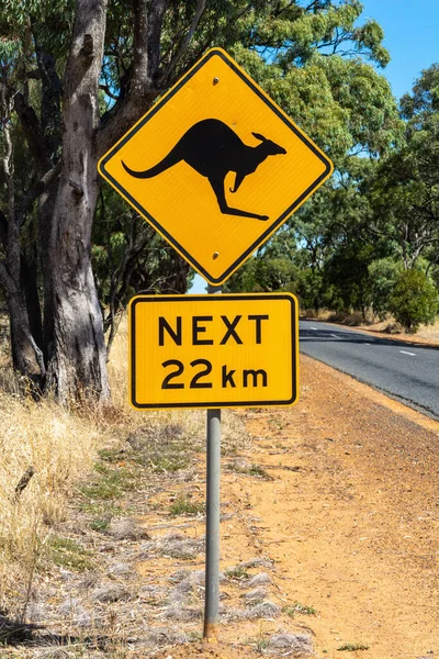 Känguru Überquert Schild Australien — Stockfoto