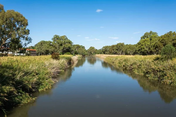 Pohled Řeku Murrumbidgee Narrandera Nový Jižní Wales Austrálie — Stock fotografie