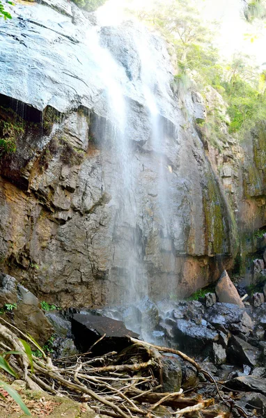 Blackfellow Falls Στο Εθνικό Πάρκο Springbrook Queensland Αυστραλία — Φωτογραφία Αρχείου
