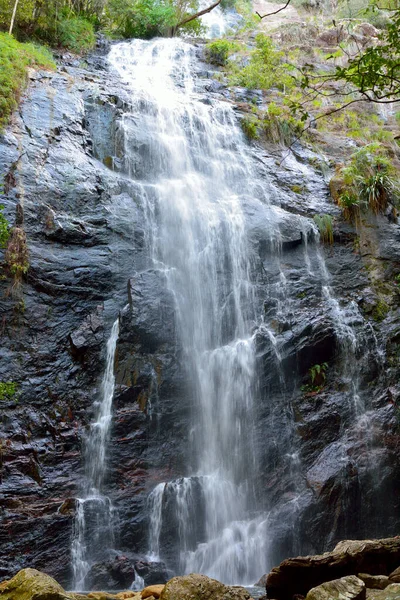 Ballanjui Falls Στο Εθνικό Πάρκο Lamington Queensland Αυστραλία — Φωτογραφία Αρχείου