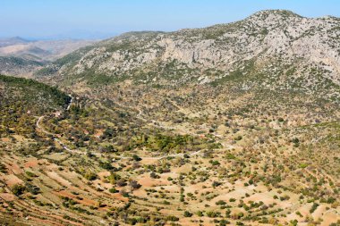 Türkiye 'nin Marmaris tatil beldesi yakınlarındaki Bozburun yarımadasındaki Sogut köyünün varoşlarındaki çorak arazide teraslı bahçeler.