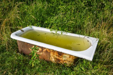 Eski bir küvet, suyla dolu ve pasla dokunulmuş, çimlerin üzerinde yatıyordu..