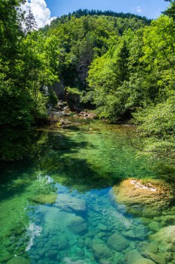 Slovenya 'nın Bled kasabası yakınlarındaki Vintgar Vadisi' nde (Soteska Vintgar) manzara, Radovna Nehri 'nin kristal berrak sularıyla.