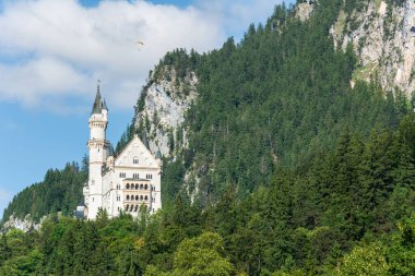 Fussen, Almanya - 29 Haziran 2016. Fussen yakınlarındaki Hohenschwangau köyündeki Schloss Neuschwanstein şatosunun dış manzarası. Neuschwanstein şatosu Walt Disneys 'in Uyuyan Güzel Kalesi' nin modeliydi..