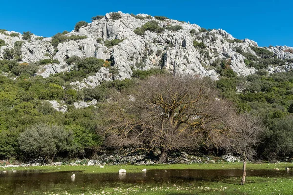 Türkiye 'nin Mugla ilçesine bağlı Bozburun yarımadasındaki Selimiye köyü yakınlarındaki dağ manzarası.