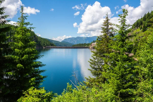 Lago Paneveggio Mesterséges Fiemme Völgyében Trentino Olaszország Kilátás Fenyőfák Mögül — Stock Fotó