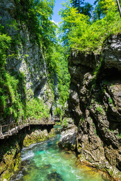 Landscape in Vintgar Gorge (Soteska Vintgar) near Bled town in Slovenia, with the wooden walkway and unidentifiable figures of people. Carved by the Radovna River, it is the continuation of the Radovna Valley.