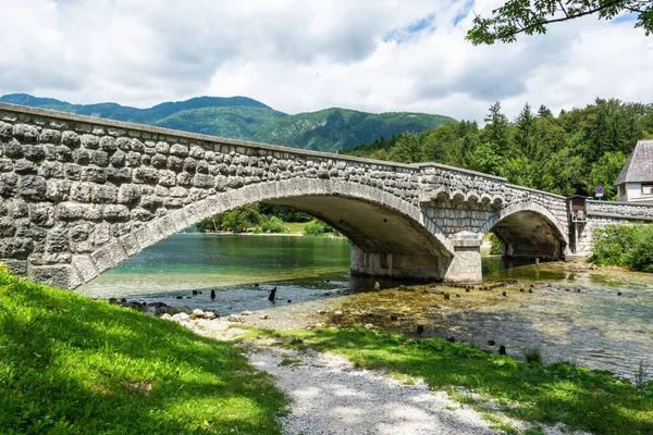 Міст Перетинає Річку Сава Бохінька Словенії Місці Він Досягає Озера — стокове фото