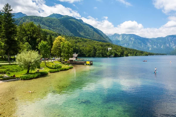 Вид Озеро Бохіндж Словенії Влітку — стокове фото