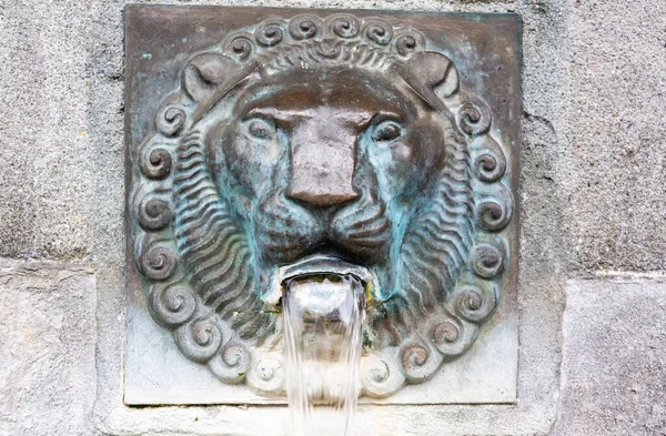 スイス ルツェルン 2016年6月26日 ルツェルンの歴史ある泉で ライオンの口から水が噴き出す — ストック写真
