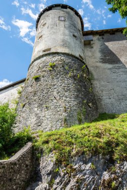 Kan, Slovenya - 6 Temmuz 2019. Slovenya 'daki Bled Ortaçağ Kalesi. 