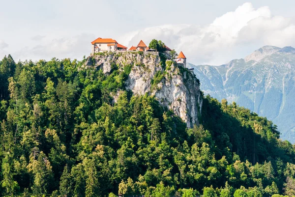Bled Szlovénia 2019 Július Vérző Középkori Kastély Egy Meredek Szikla — Stock Fotó