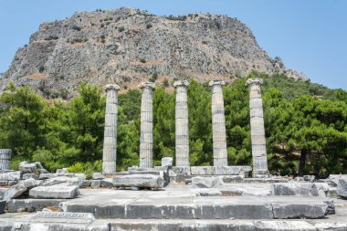 The ruins and the five re-erected columns at Priene ancient city in Turkey.